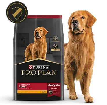 Alimento Pro Plan Adult junto a perro adulto en la card del alimento para adultos