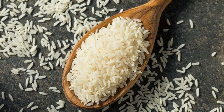 Los perros pueden comer arroz. Mirá los aportes y consideraciones de cada tipo: integral o blanco.