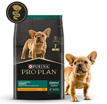Alimento Pro Plan Puppy junto a cachorro en la card del producto