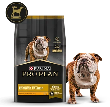 Alimento Pro Plan Reduced Calorie junto a perro en card de alimento reducido en calorías para perros