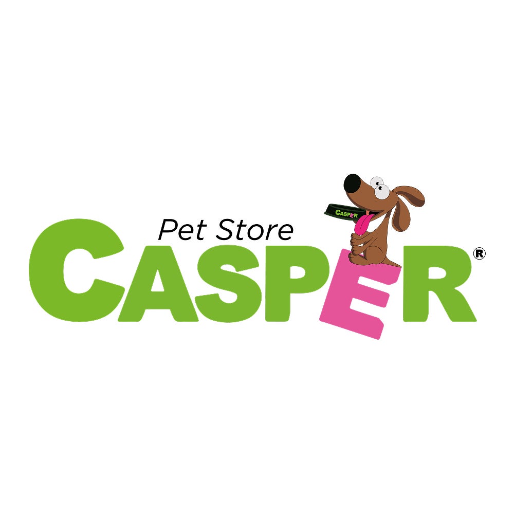 Logo-Casper
