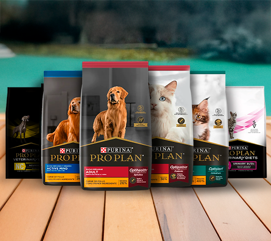 Variedad de productos Pro Plan para perros y gatos exhibidos en el home.