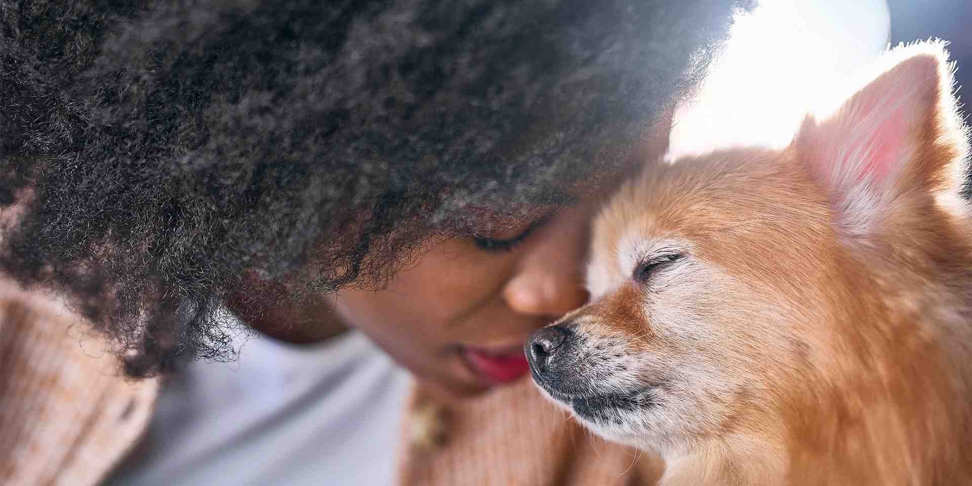 Una gran empatía hace parte de los beneficios de tener un perro. Mujer junto a chihuahua.