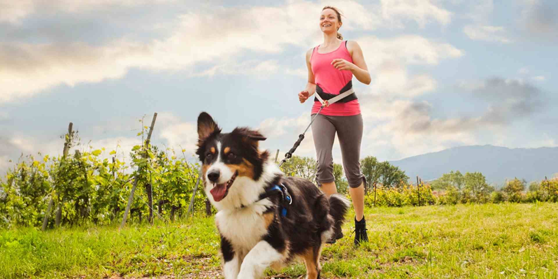 La actividad física es clave para tener un perro feliz, como este collie que corre junto a su tutora.