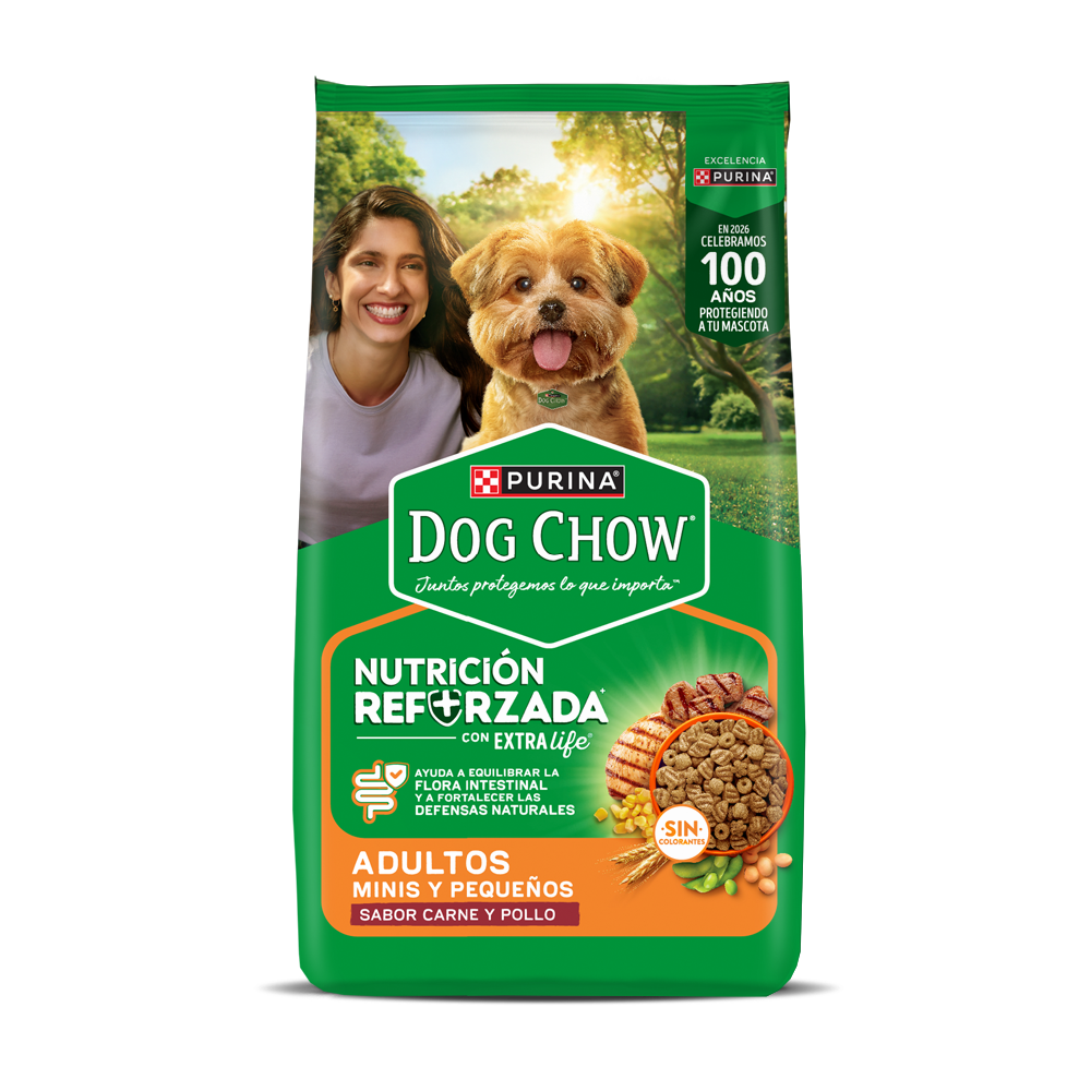 Alimento para perros pequeños y minis Dog Chow sabor carne y pollo