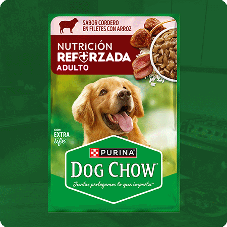 Alimento húmedo para perros Dog Chow Adultos sabor cordero en filetes con arroz
