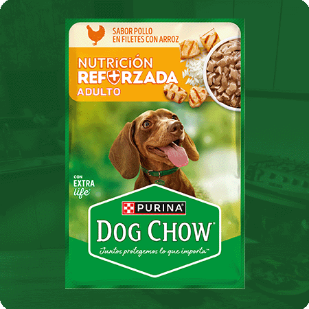 Alimento húmedo para perros Dog Chow Adultos sabor pollo en filetes con arroz