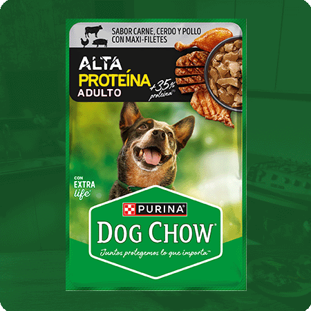 Alimento húmedo para perros Dog Chow Alta Proteína Adulto con carne y pollo