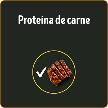 Alimento para perros Dog Chow Alta Proteína con proteína de carne