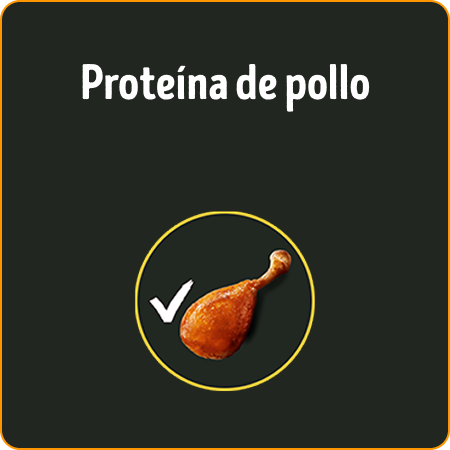 Alimento para perros Dog Chow Alta Proteína con proteína de pollo