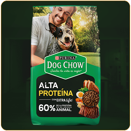 Alimento para perros Dog Chow Alta Proteína para perros adultos