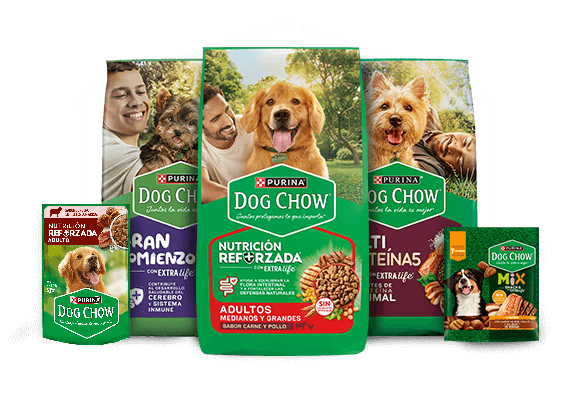 Alimentos para perros Dog Chow con croquetas y sabrosobres para distintas etapas de vida