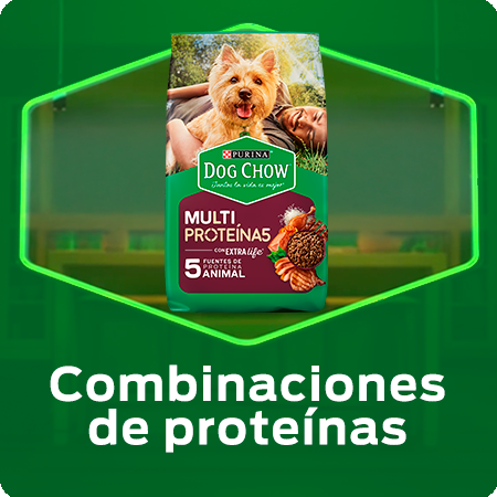 Alimento para perros Dog Chow combinaciones de proteínas con nutrición y sabor para perros adultos