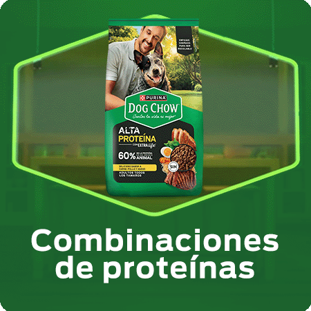 Alimento para perros Dog Chow combinaciones de proteínas con nutrición y sabor para perros adultos