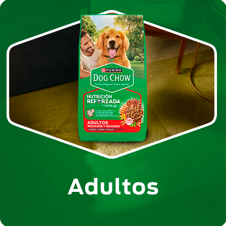Alimento para perros adultos Dog Chow con nutrición reforzada para su bienestar diario