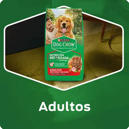 Alimento para perros Dog Chow Adultos con Nutrición Reforzada