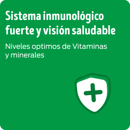 Alimento para cachorro con vitaminas y minerales para fortalecer el sistema inmunológico