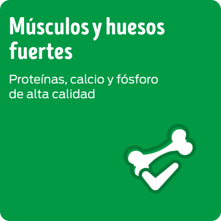 Alimento para cachorro con proteínas, calcio y fósforo para músculos y huesos fuertes