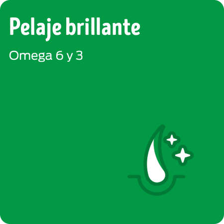 Alimento para cachorro con omega 3 y 6 para un pelaje brillante y saludable