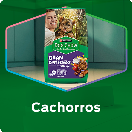 Alimento para perros cachorros Dog Chow con nutrición para un crecimiento saludable