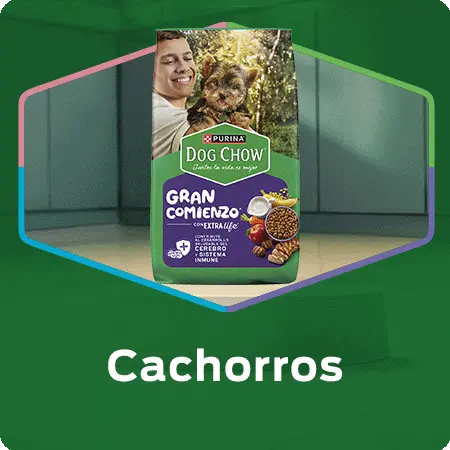Alimento para perros Dog Chow Cachorros con nutrición para el primer año de vida