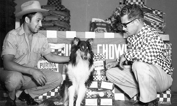 Historia del alimento para perro Dog Chow y su expansión en tiendas desde 1950
