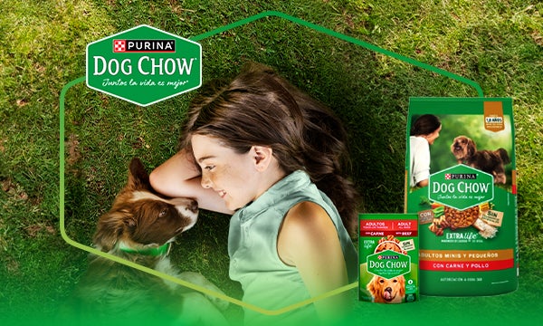 Alimento para perro Dog Chow renovado con prebióticos y carne como ingrediente principal