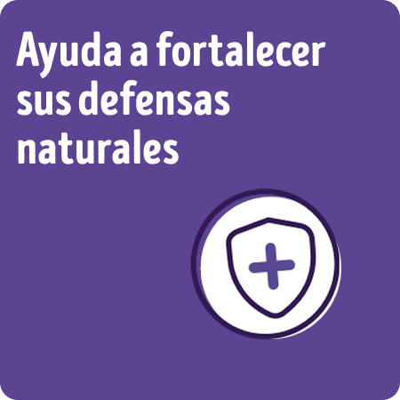 Alimento para perros senior Dog Chow que ayuda a fortalecer sus defensas naturales