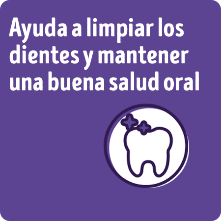 Alimento para perros senior Dog Chow que ayuda a mantener la salud oral