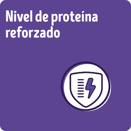 Alimento para perros senior Dog Chow con nivel de proteína reforzado