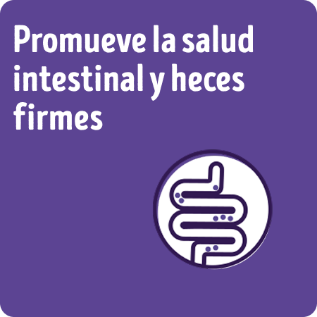 Alimento para perros senior Dog Chow para la salud intestinal y heces firmes