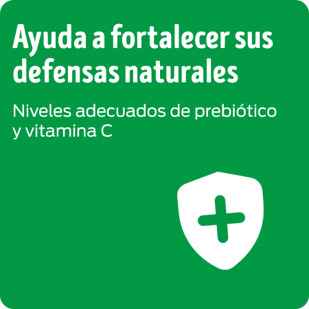 Alimento para perros Dog Chow que ayuda a fortalecer las defensas naturales