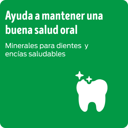 Alimento para perros Dog Chow que ayuda a mantener una buena salud oral
