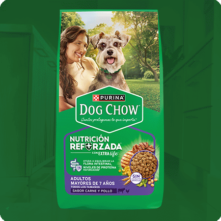 Alimento para perros senior Dog Chow para mayores de 7 años de todos los tamaños