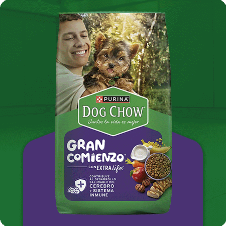 Alimento para cachorro mini y pequeño Dog Chow Gran Comienzo con nutrición especializada
