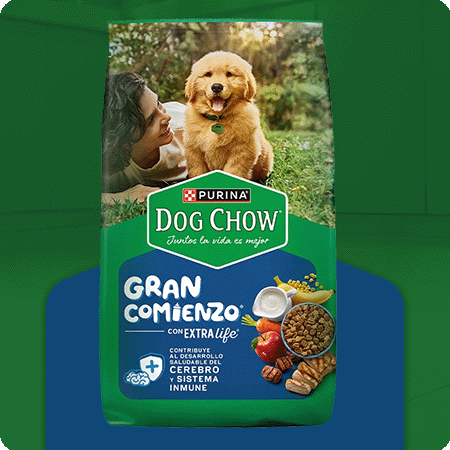 Alimento para cachorro mediano y grande Dog Chow Gran Comienzo para crecimiento saludable