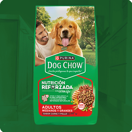 Alimento para perro Dog Chow para adultos medianos y grandes sabor carne y pollo