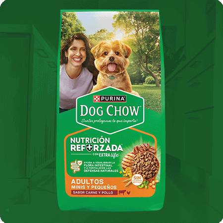 Alimento para perro Dog Chow para adultos minis y pequeños sabor carne y pollo