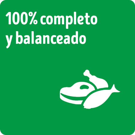 Alimento húmedo para perros Dog Chow Sabrosobre 100% completo y balanceado