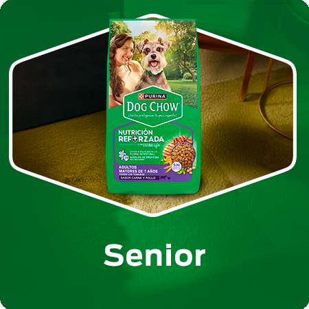Alimento para perros senior Dog Chow con nutrición reforzada para perros mayores de 7 años