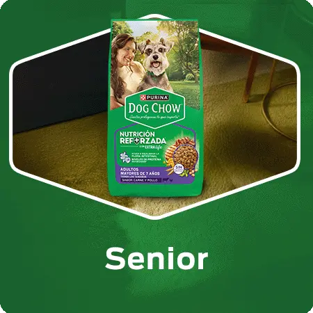 Alimento para perros senior Dog Chow para mayores de 7 años