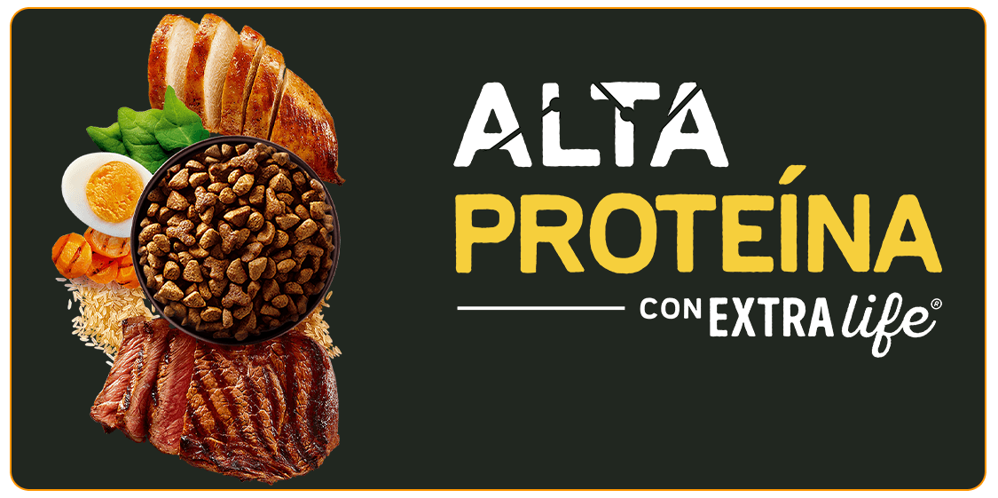Alimento para perros Dog Chow Alta Proteína con proteínas y nutrientes