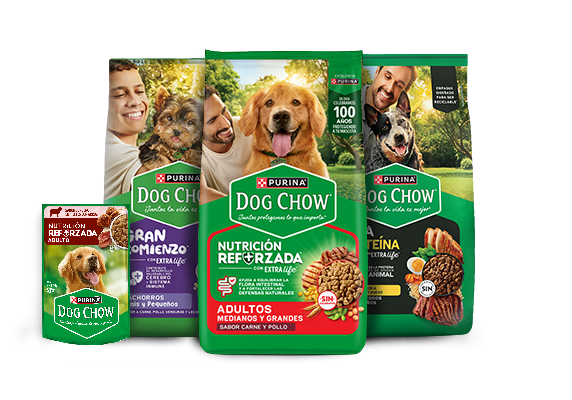 Alimentos para perros Dog Chow con croquetas y sabrosobres para distintas etapas de vida