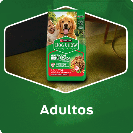 Alimento para perros adultos Dog Chow con nutrición reforzada para su bienestar diario