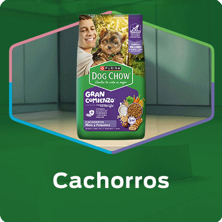 Alimento para perros cachorros Dog Chow con nutrición para un crecimiento saludable