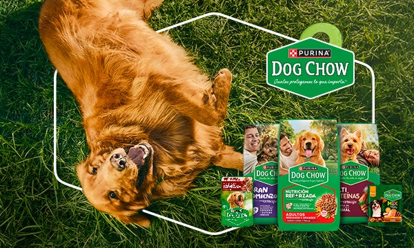 Alimento para perro Dog Chow con nueva imagen y nutrición para cada etapa de vida