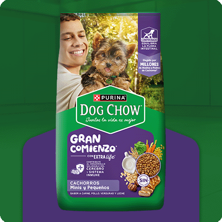 Alimento para cachorro mini y pequeño Dog Chow Gran Comienzo con nutrición especializada