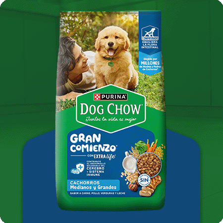 Alimento para cachorro mediano y grande Dog Chow Gran Comienzo para crecimiento saludable