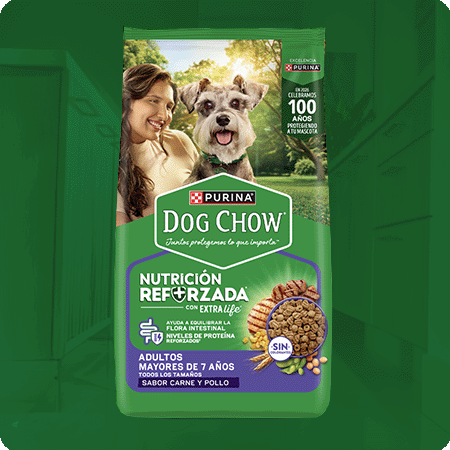Alimento para perros senior Dog Chow para mayores de 7 años de todos los tamaños