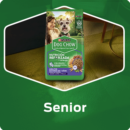 Alimento para perros senior Dog Chow con nutrición reforzada para perros mayores de 7 años